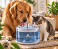 Fuente de Agua Velumi Flow™ para Perros y Gatos 🐾💧